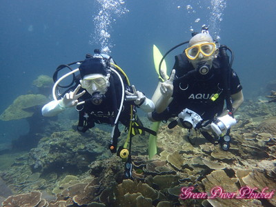 2019年2月19日20日　プーケット　ダイビング　ラチャノイ島ラチャヤイ島・ピピ島シャークポイント　ファンダイビング